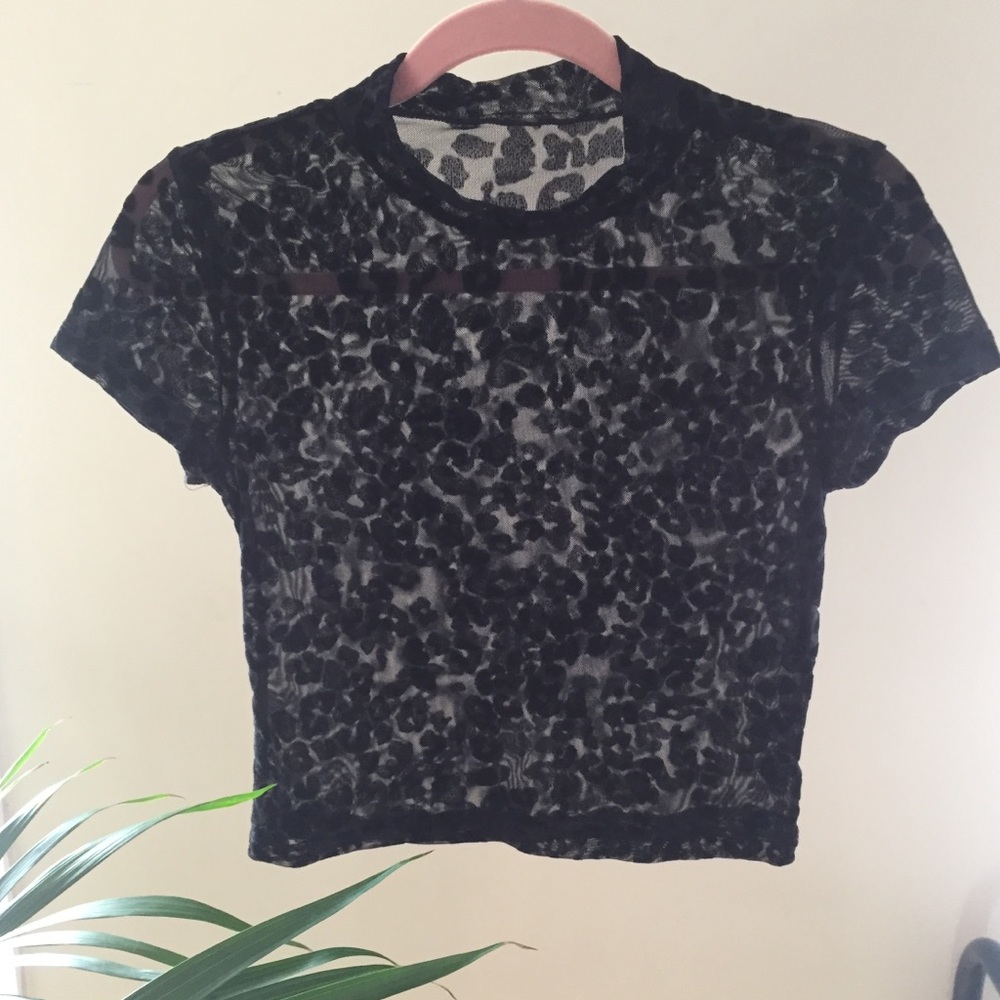 Sheer Leopard Print Top